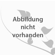 Kein Bild
